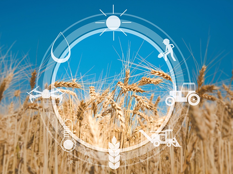 Industria 4.0, Assistenza informatica ZenaOffice a Piacenza